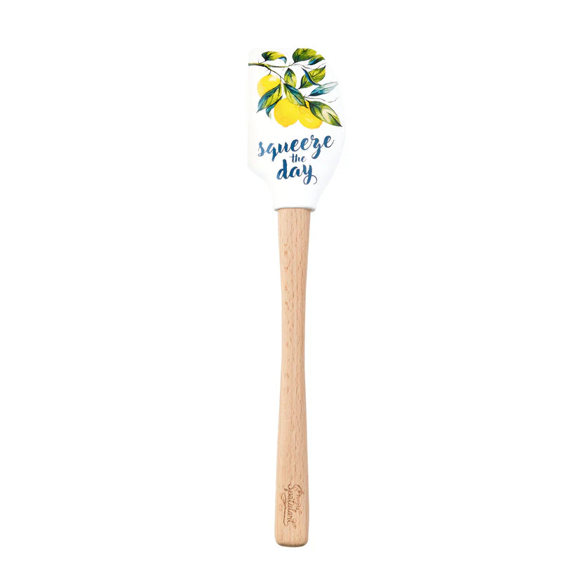 Spatulart® Squeeze The Day Spatula Tovolo 1000442