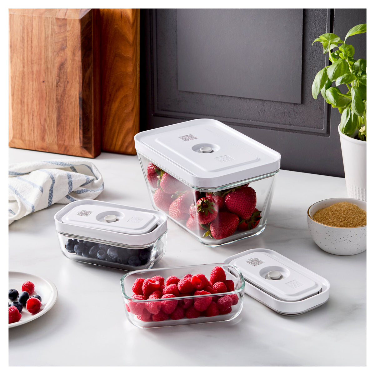 Vacuum Box Set Fresh & Save 3pc rect s/l ZWIL 1033159