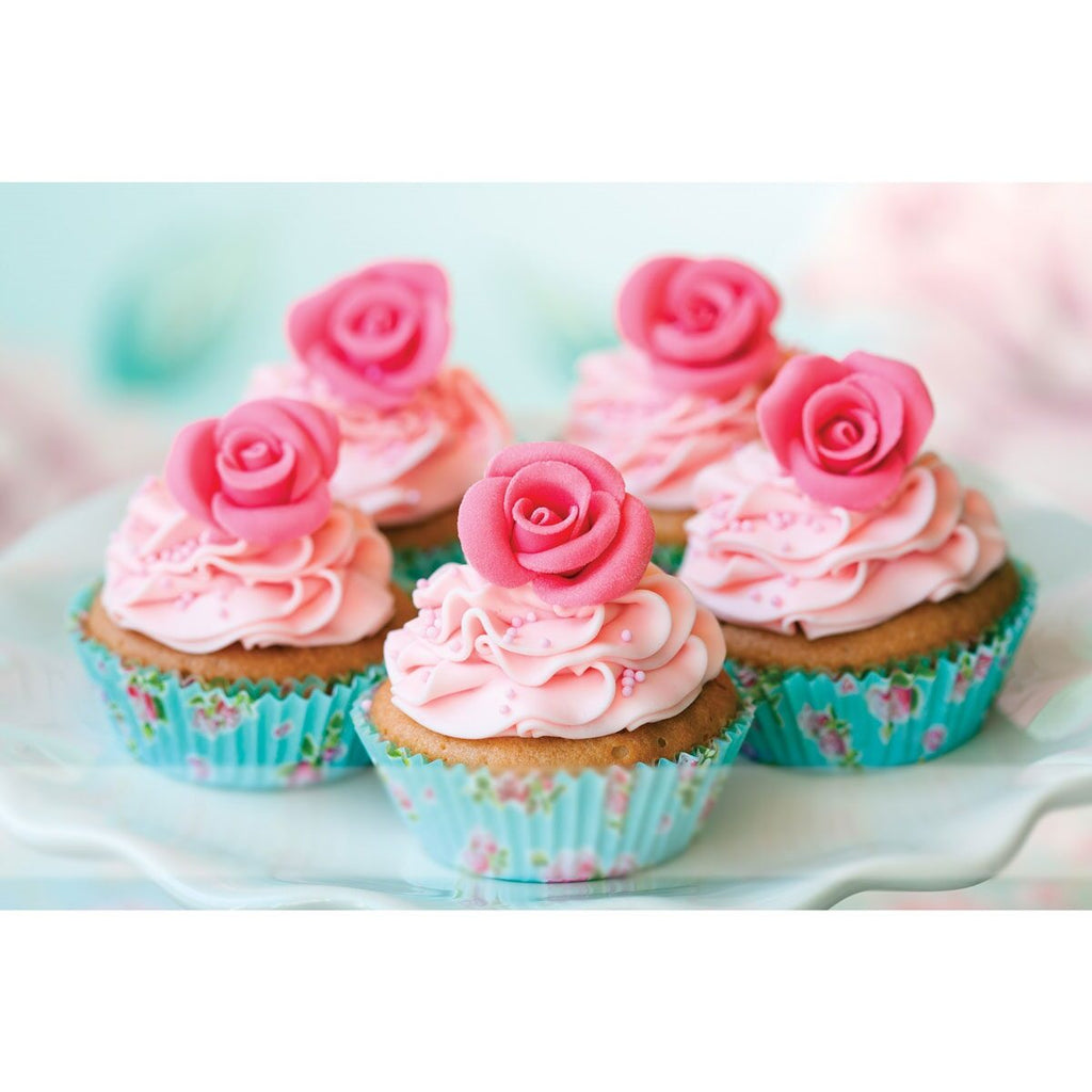 Pastry Decorating 26pc Tips Mrs. A HIC 38024