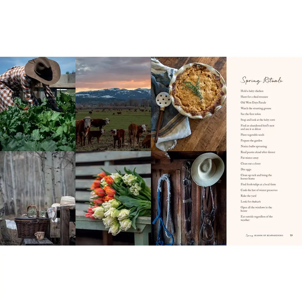 Cookbook Alpenglow : Outdoor Celebrations GS