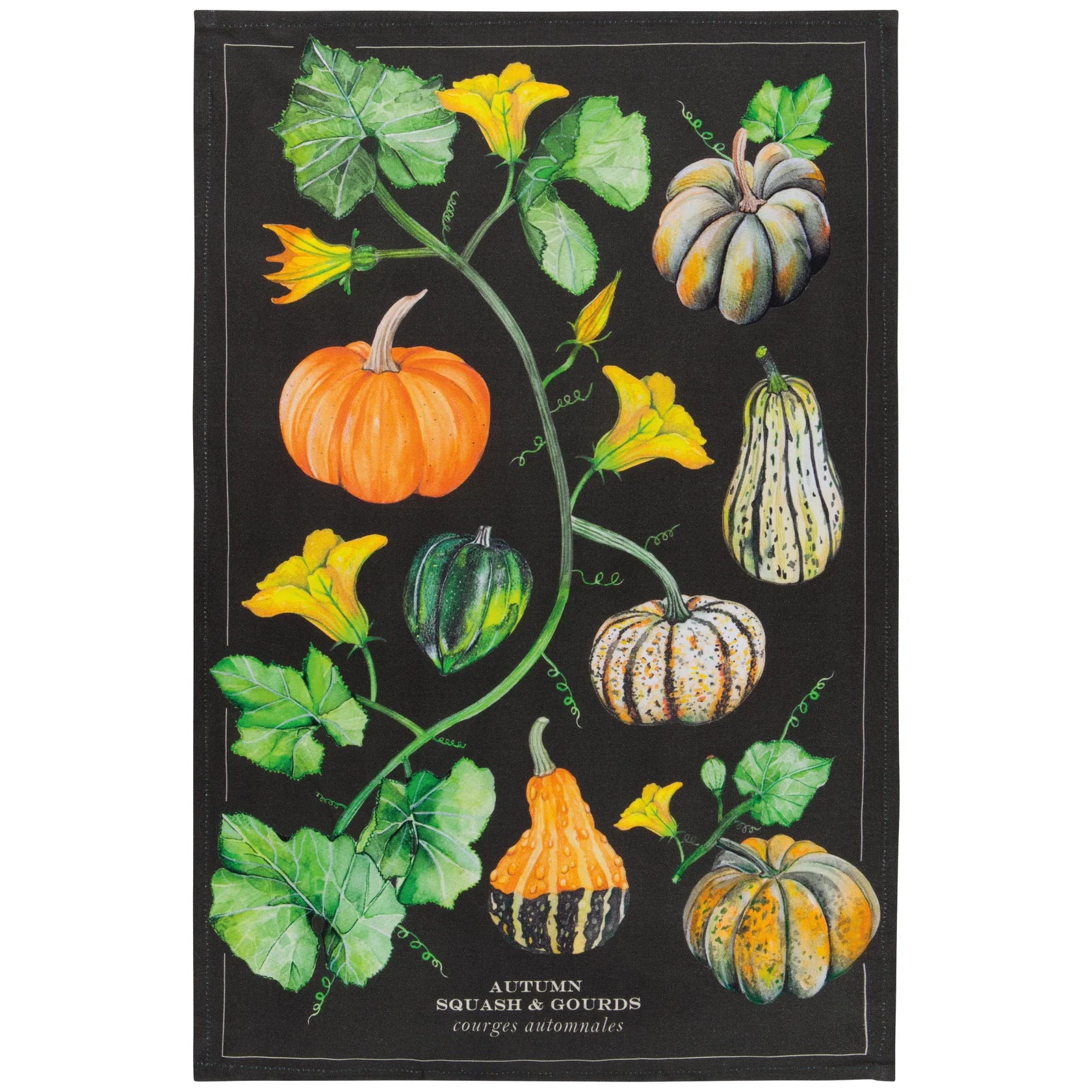 Dishtowel Autumn Squash Cotton DANI 2177364