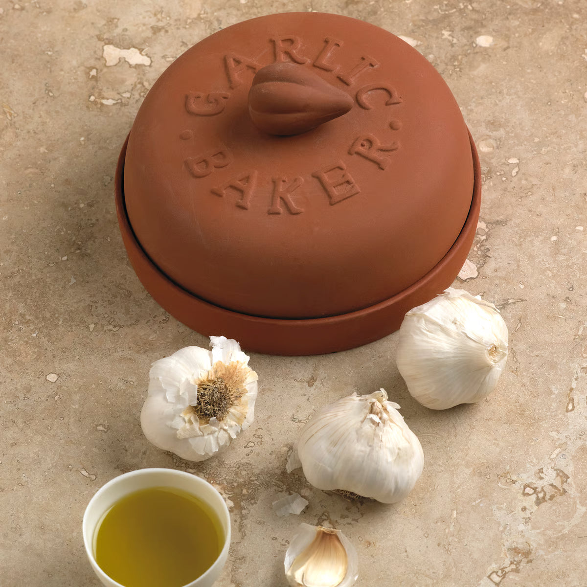Garlic Baker Terra Cotta FOXR 3921