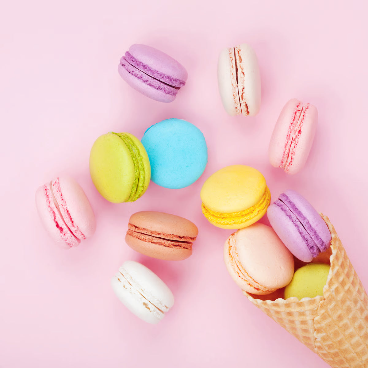 Pan, Macaron Mini FOX 6114