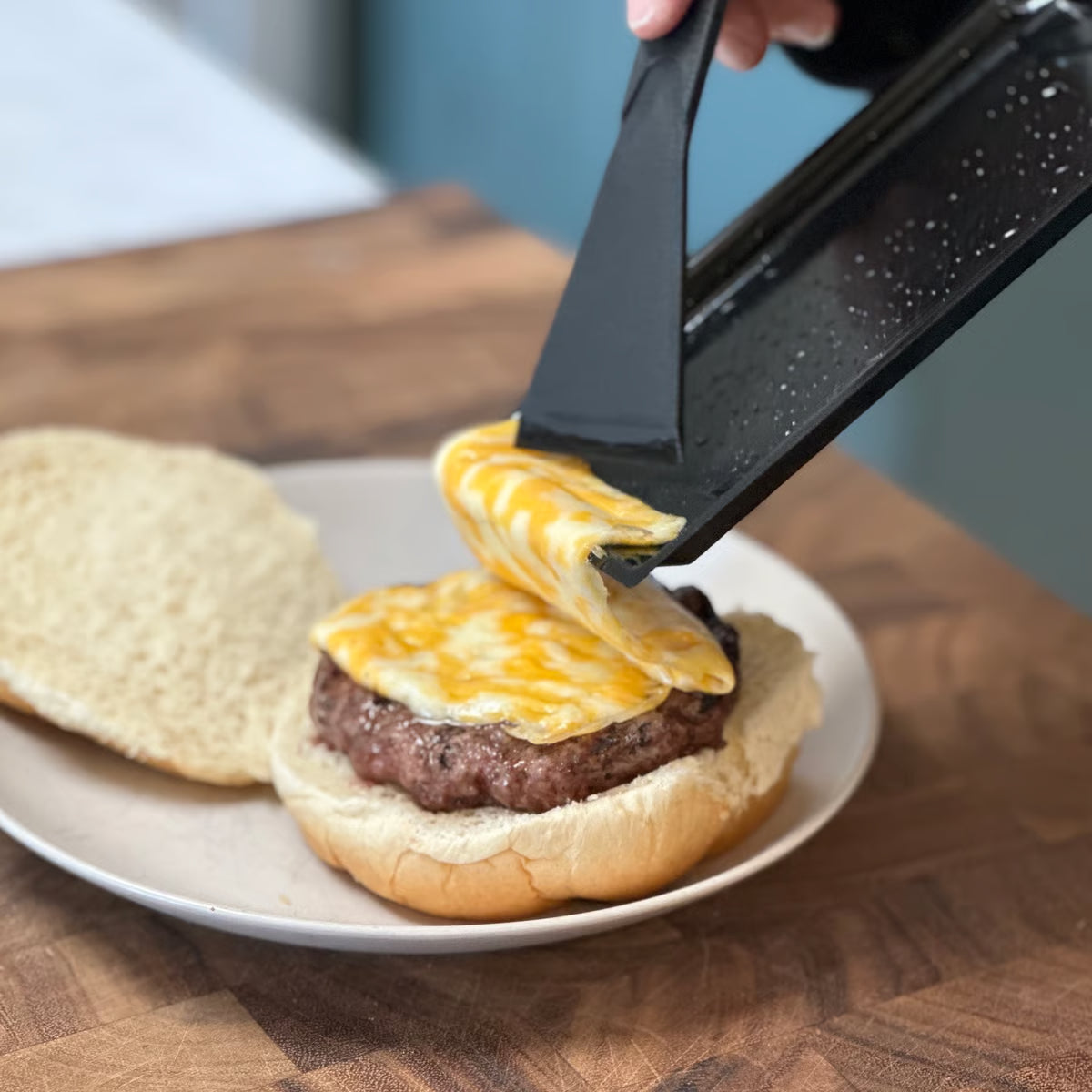 Raclette Cheese Melting Pan FOXR 66613