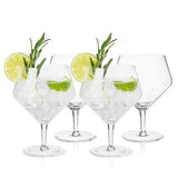Gin & Tonic Glasses ang Raye 4pc crys VISKI 11370